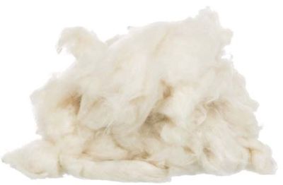 YKszynSZUhoACJT1764325705