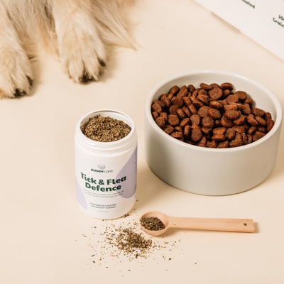 YTPZPjxE0une0HT1764326335