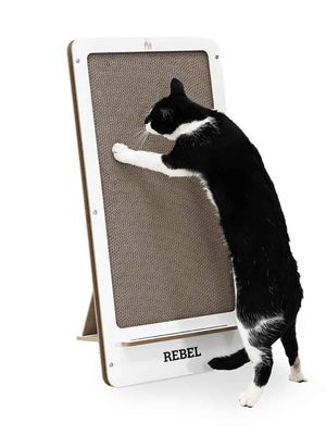 YqqYNLLq44VPtG01766498239