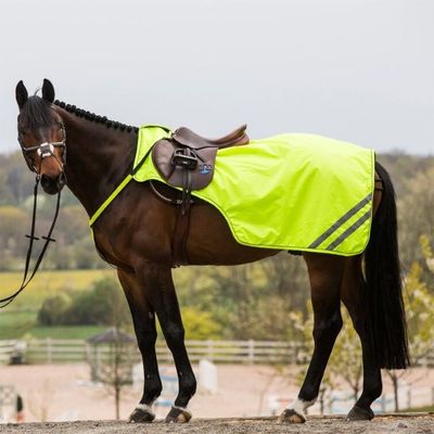 YxGxaTnO2kRVig41764327101