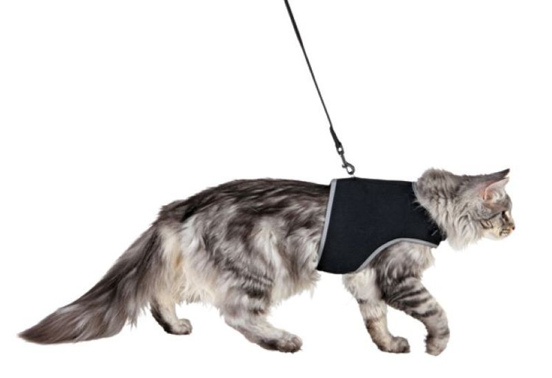 Kattsele mjuk med koppel XXL, 36-54 cm, 120 cm, svart