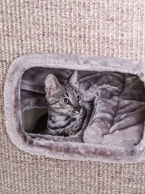 Klöstunna Vault 118