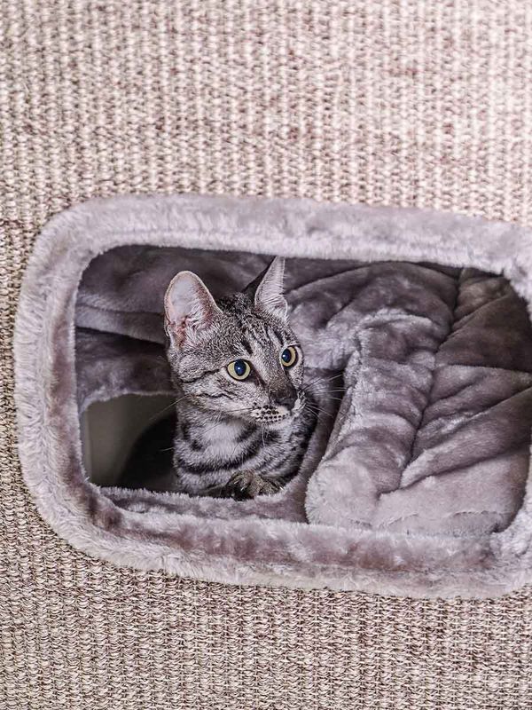 Klöstunna Vault 118