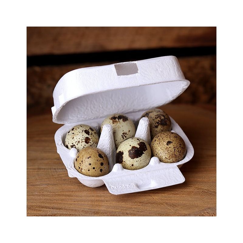 Vakteläggkartong 6 Pack, Flera Färger