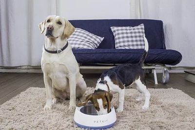 ZmNXCf3oyTS5hAY1764324720