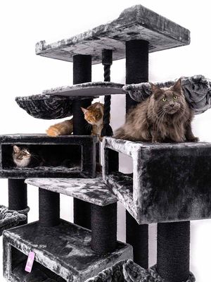 Klösträd Alley 200