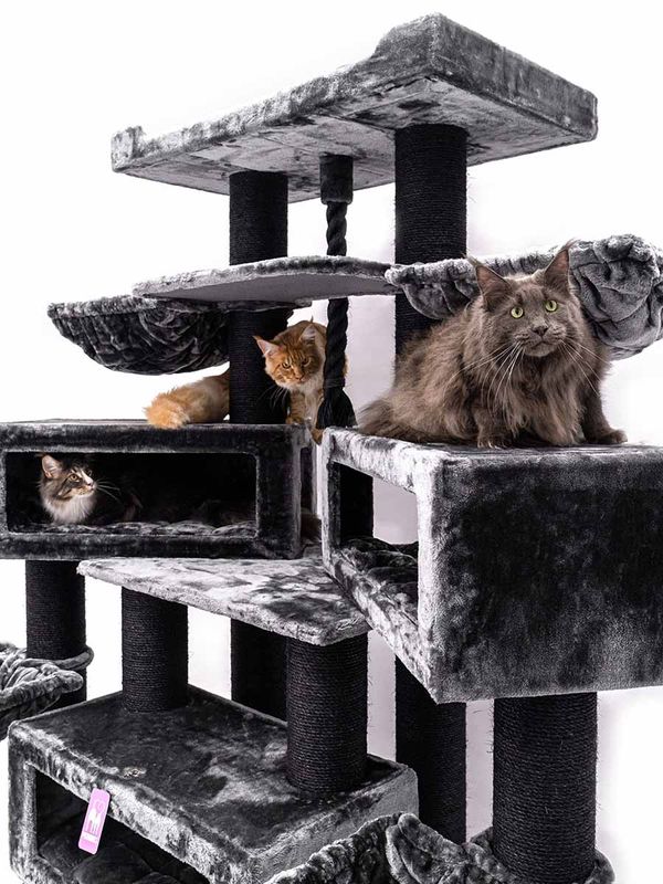 Klösträd Alley 200