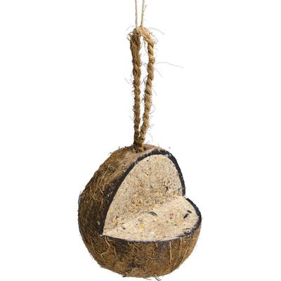 Kokosnöt med plattform