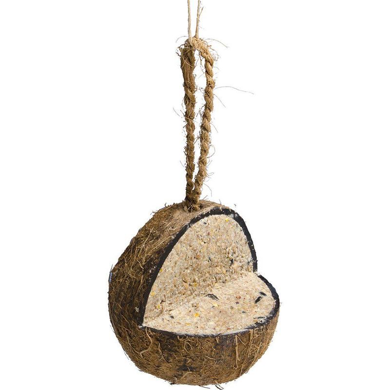 Kokosnöt med plattform