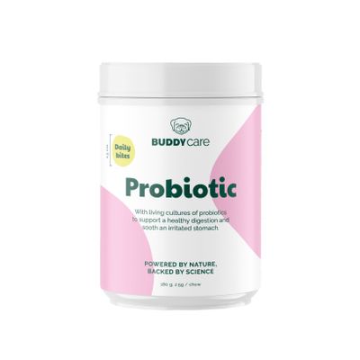 Buddy Probiotic