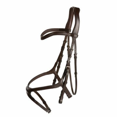 Träns Knights Arthur