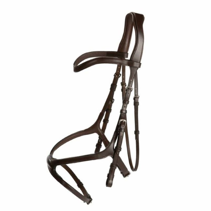 Träns Knights Arthur