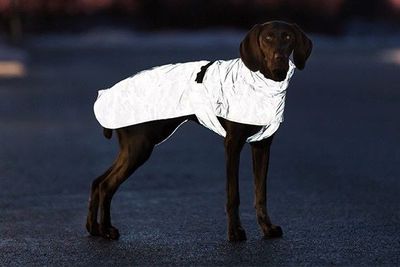 czL0HbCDD3eWmpr1764326831