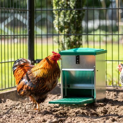 Olba Feedomatic Foderautomat med pedal