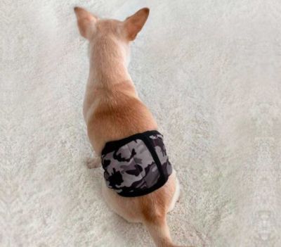 Skvättskydd JustinCase Camo