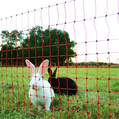Elnät kanin och smådjur 65 cm 50 m