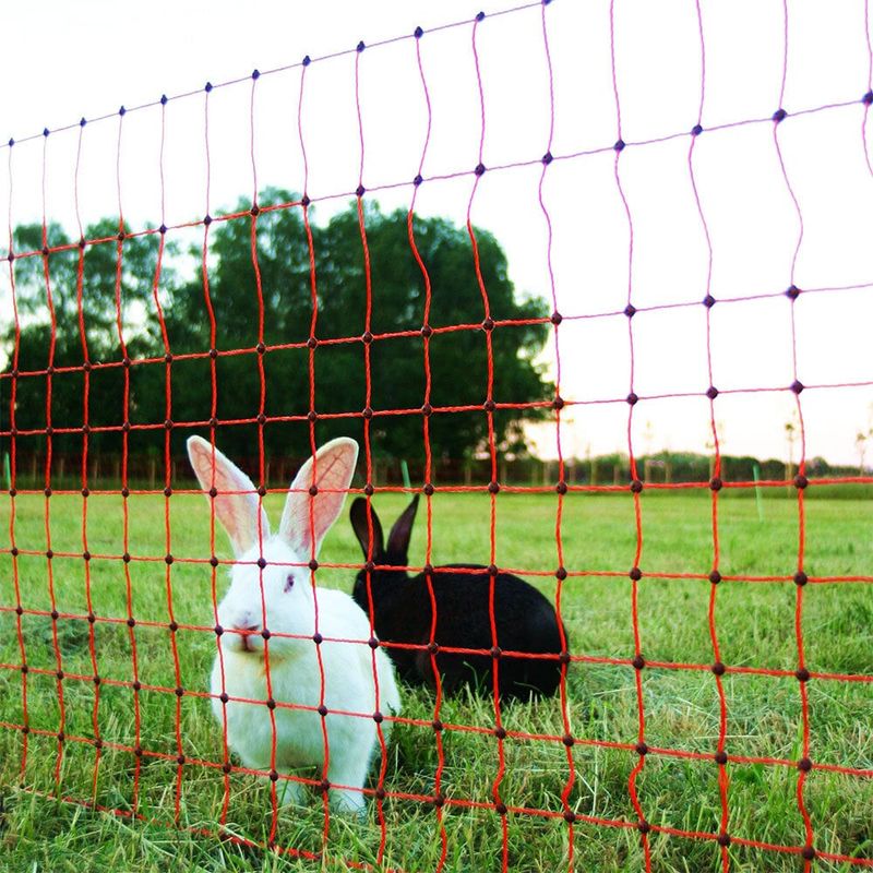 Elnät kanin och smådjur 65 cm 50 m