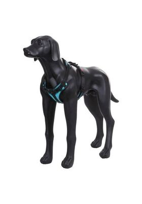 bNcPfpwhxggYqQG1764326896