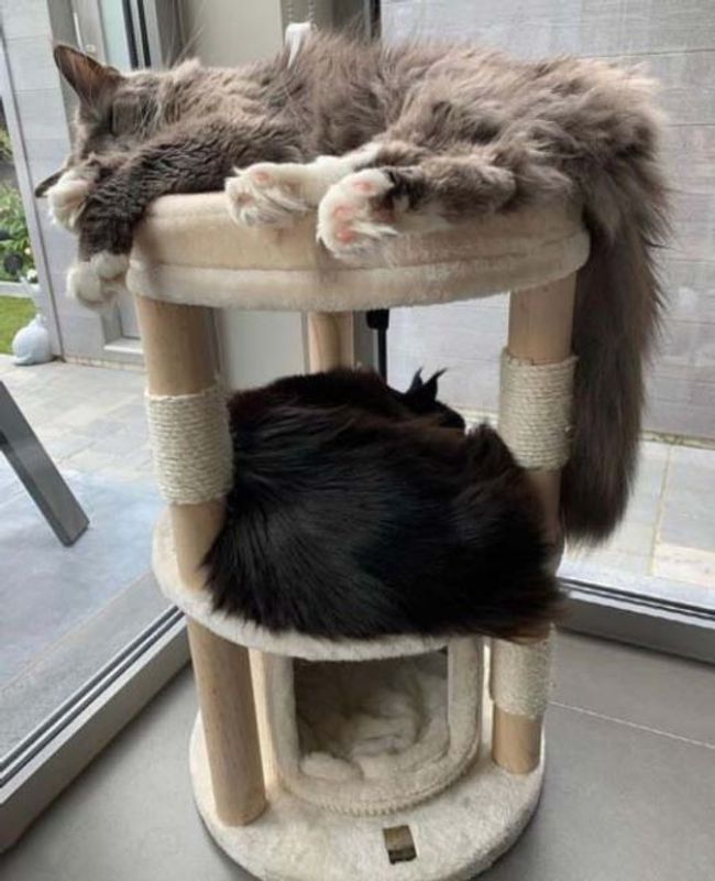 Klösmöbel Tampa (Cream)