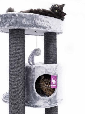 Klösträd Charlotte 180