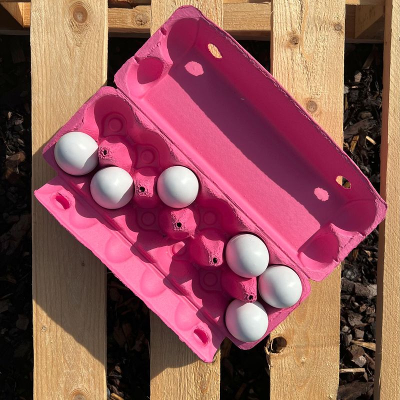 Äggkartong 12-ägg Färgad