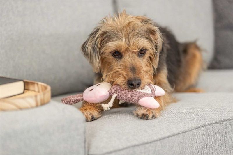 Kanin, tyg/plysch, 24 cm