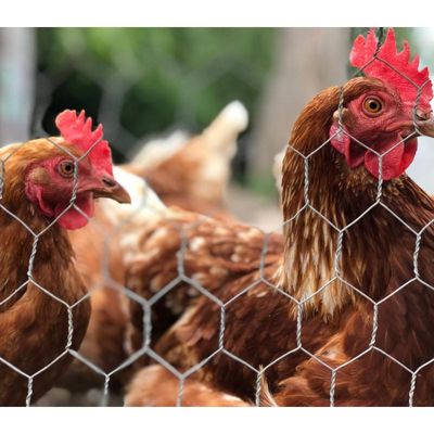 dBGLIE3JHiSeI7u1775571982