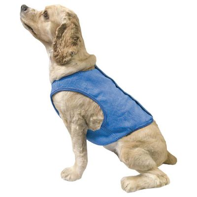 dFaYS6YF3spuTyn1764327358