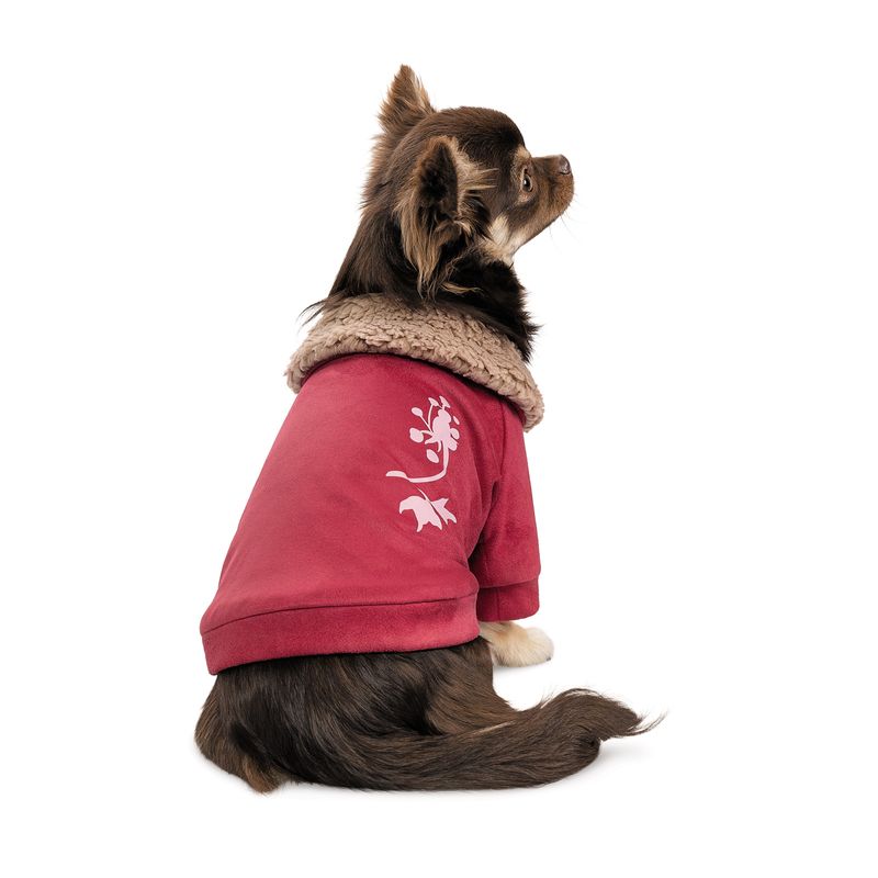 BuddyBoo Hundtröja Garcia