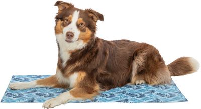 DOG_28763-28764-28765-28766-1