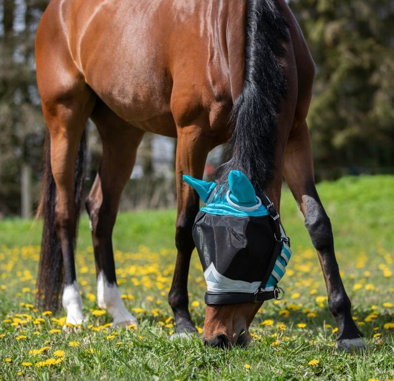 Fine Mesh Flughuva med öron Turkos/Grå