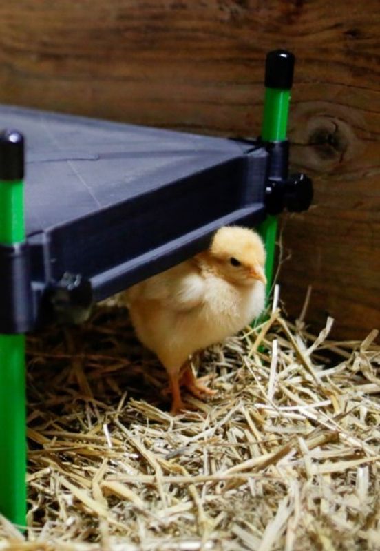 Värmetak för Kycklingar CozyHeat