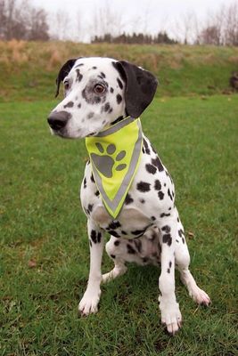 e8ZOQH30gW0GerC1764326824