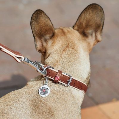 WAUDOG Soft Läderhalsband med Smart-ID Bricka, Brun