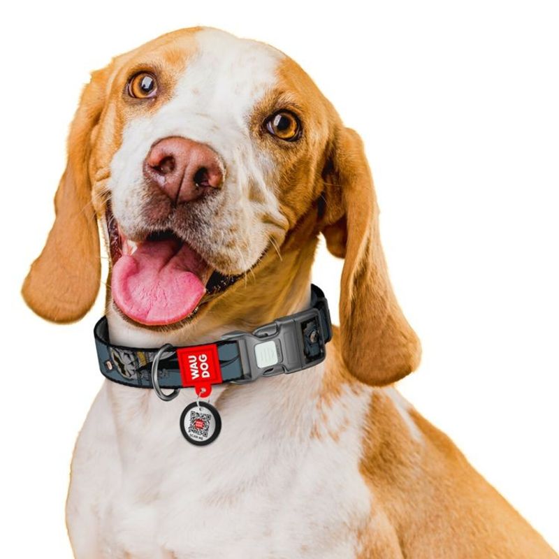 WAUDOG Hundhalsband Nylon Batman Shadow