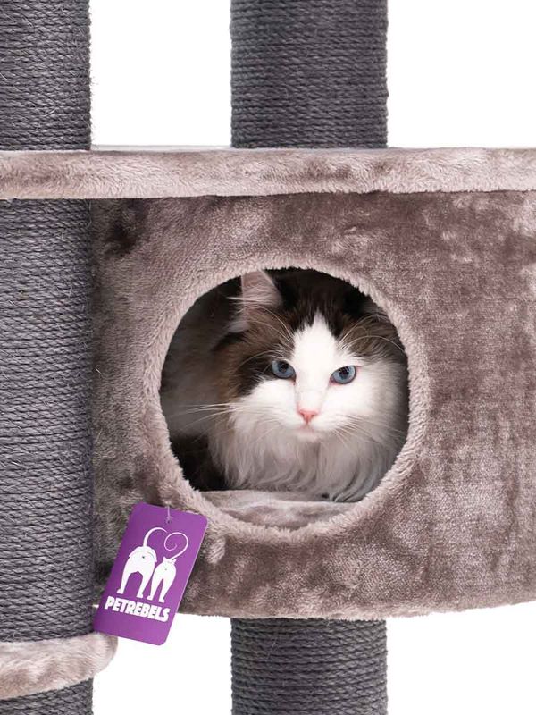 Klösträd Isabella 170