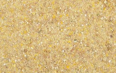 fDkixv6SuaLE46L1764326263