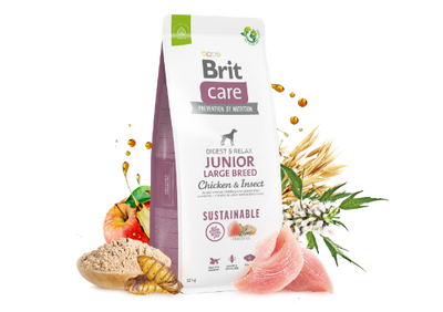 fJFoyx3R6Zjo7Oq1764326400