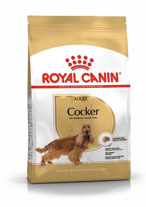 RC Cocker Spaniel Adult