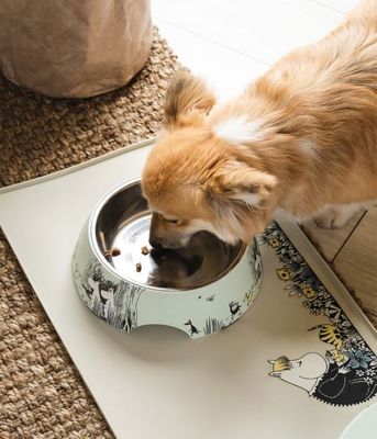 kH6eblCsGyo9gS11764327175