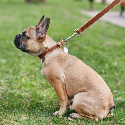 WAUDOG Soft Läderhalsband med Smart-ID Bricka, Brun