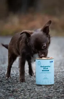 kbIBDkQVxdntyNQ1764327663