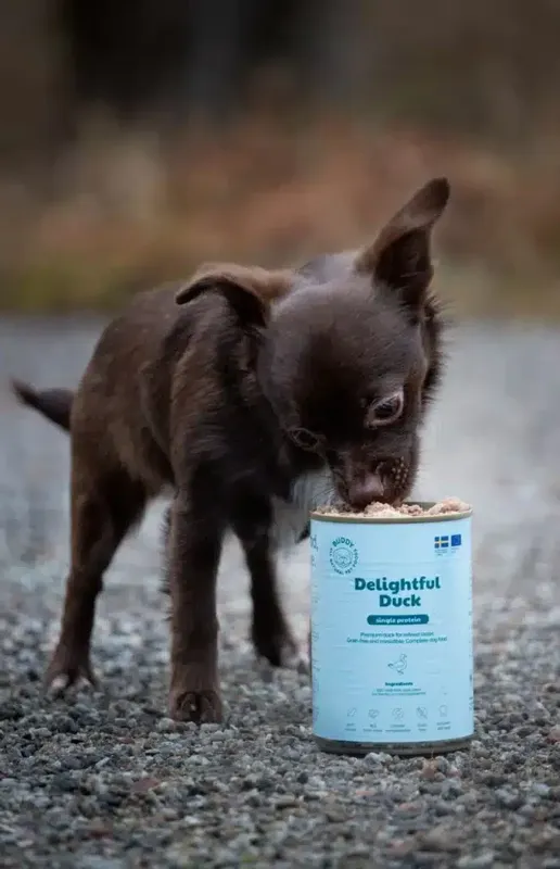 Buddy Delightful Duck 400g