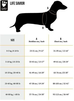 kdg6f66HMWPURcP1764325195