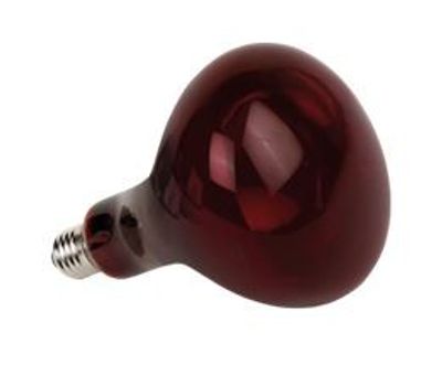 Infraröd Lampa