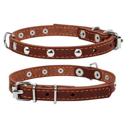 Hundhalsband Läder med Nitar