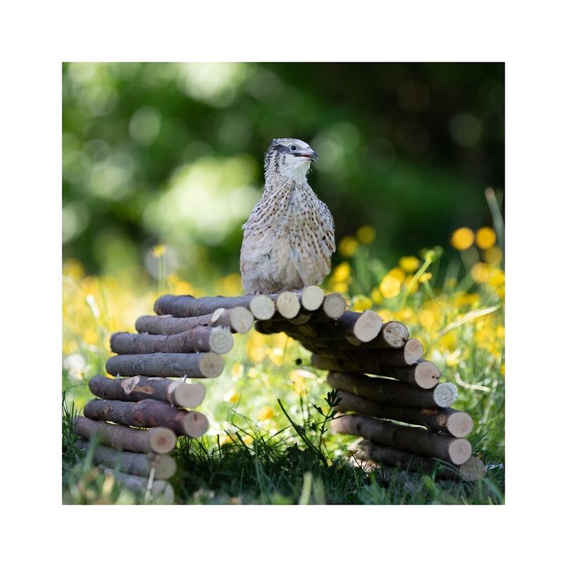 Flexibel Bro i Trä 17x28cm