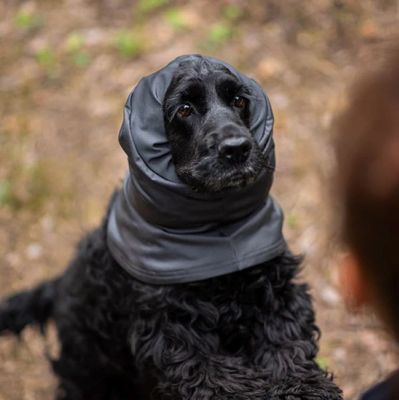 hNznuH0VaY7H5B31764327665