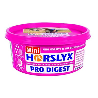 Horslyx Slicksten Pro Digest 650 g