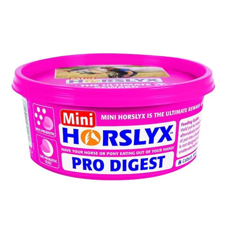 Horslyx Slicksten Pro Digest 650 g